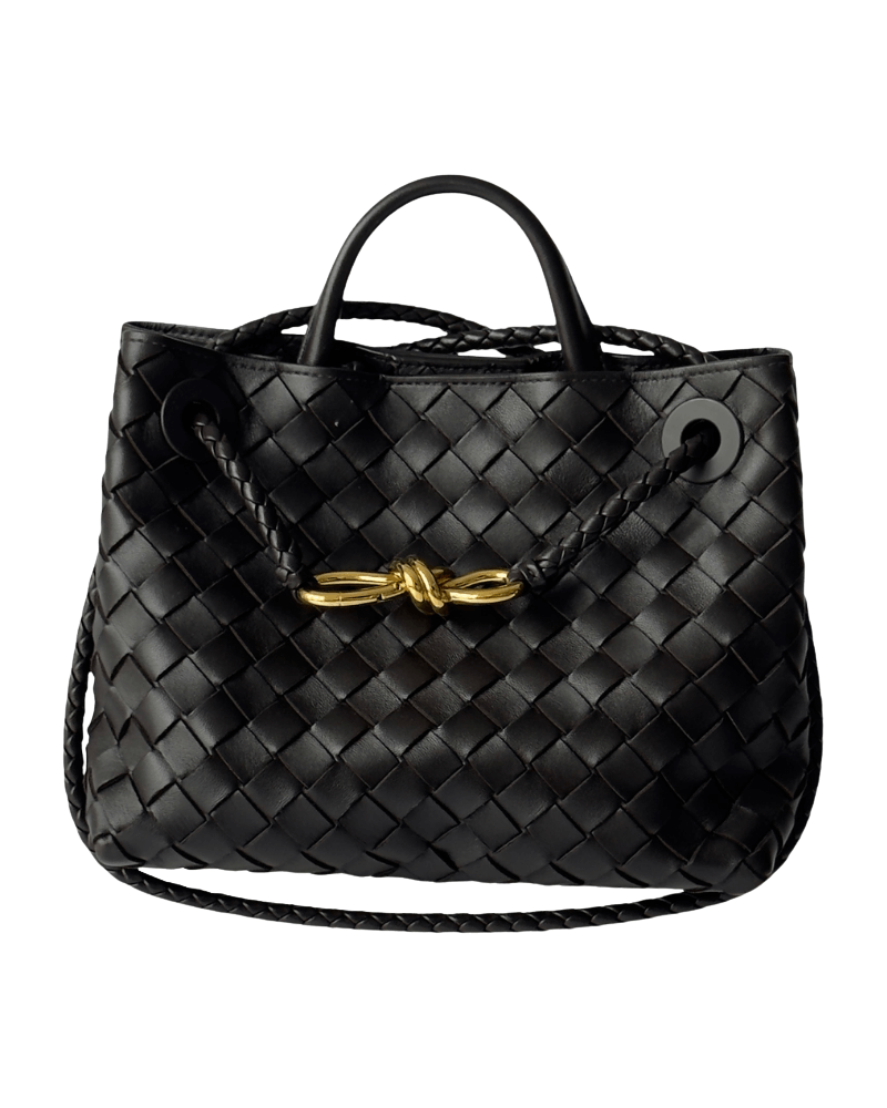 Bottega Veneta Small Andiamo