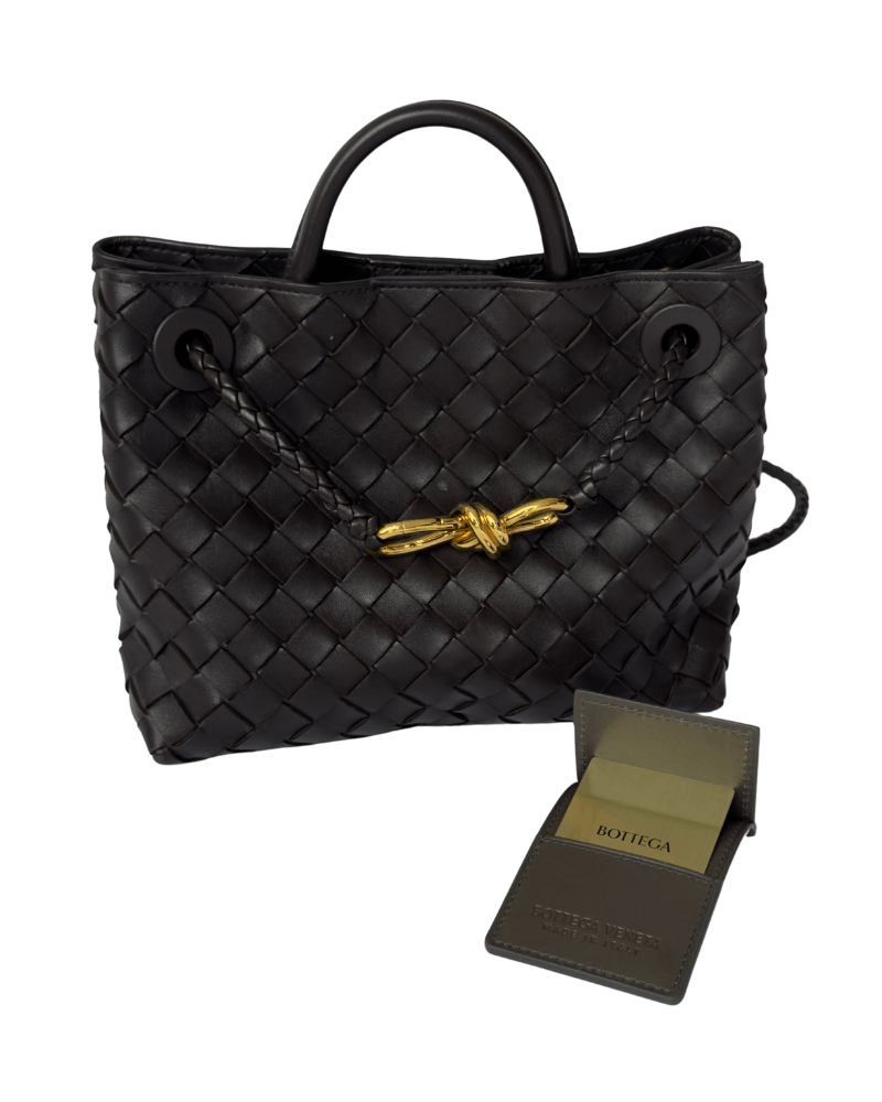 Bottega Veneta Small Andiamo