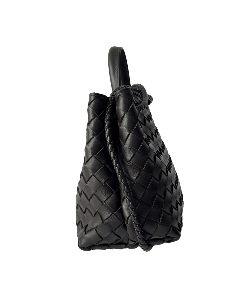 Bottega Veneta Small Andiamo