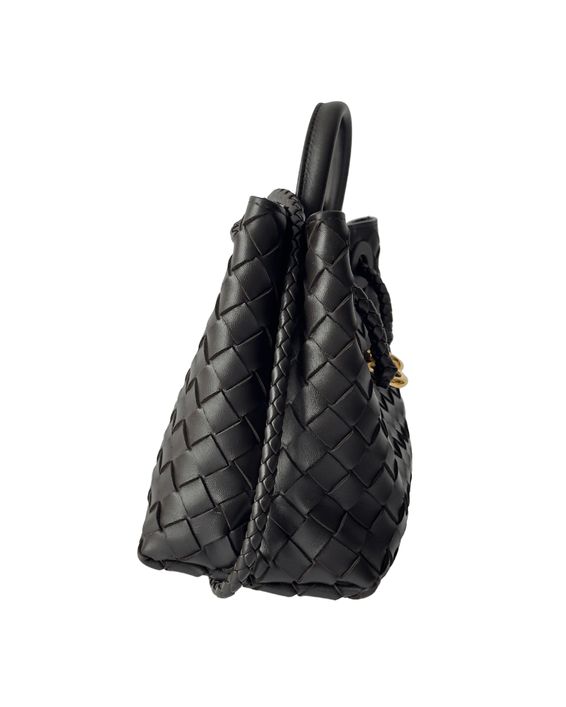 Bottega Veneta Small Andiamo